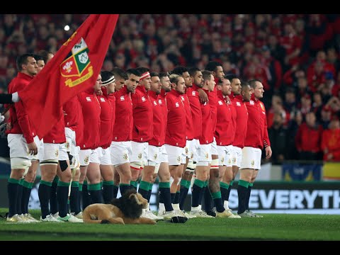 Lions Collection